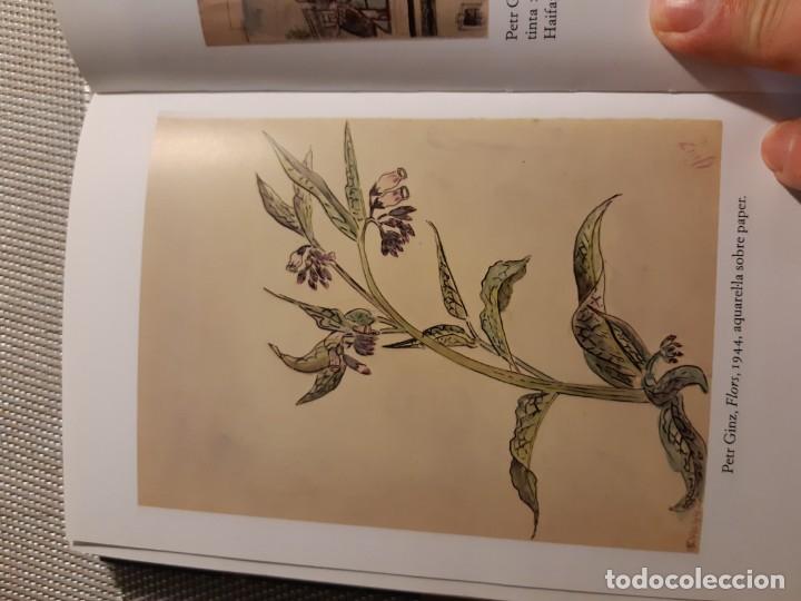 Libros de segunda mano: Petr Ginz Diari de Praga - Foto 7