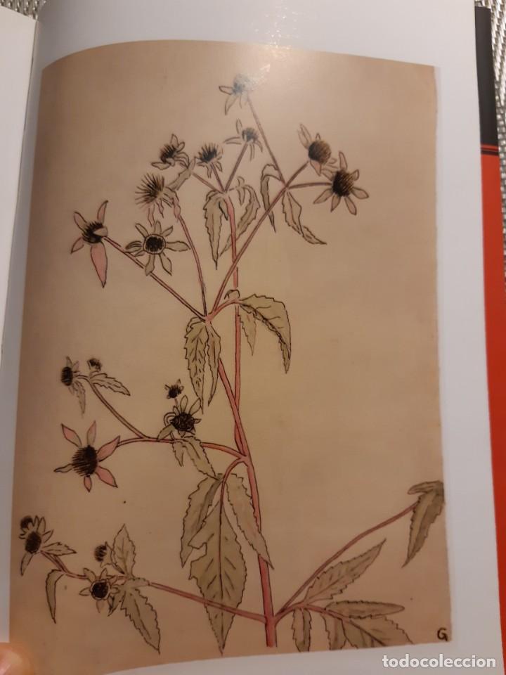 Libros de segunda mano: Petr Ginz Diari de Praga - Foto 10