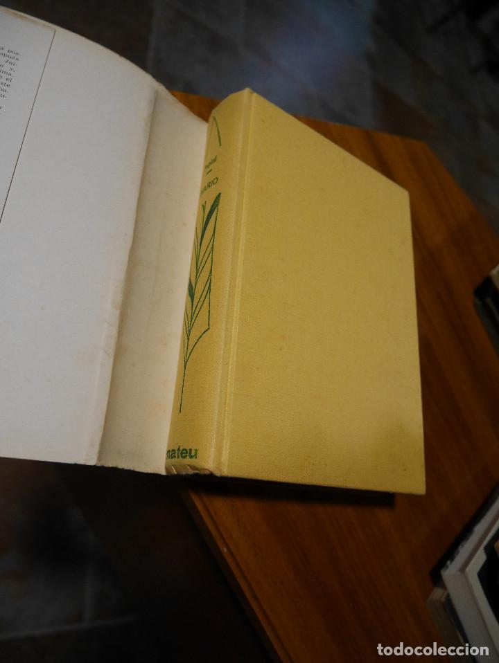 Libros de segunda mano: Papini Diario - Foto 2