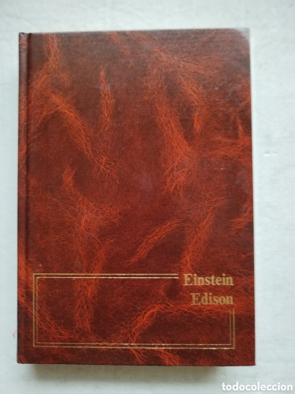 Libros de segunda mano: EINSTEIN/EDISON/GRANDES BIOGRAFIAS - Foto 1