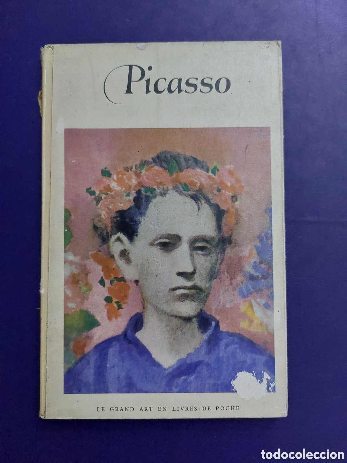 Libros de segunda mano: PICASSO - Foto 1