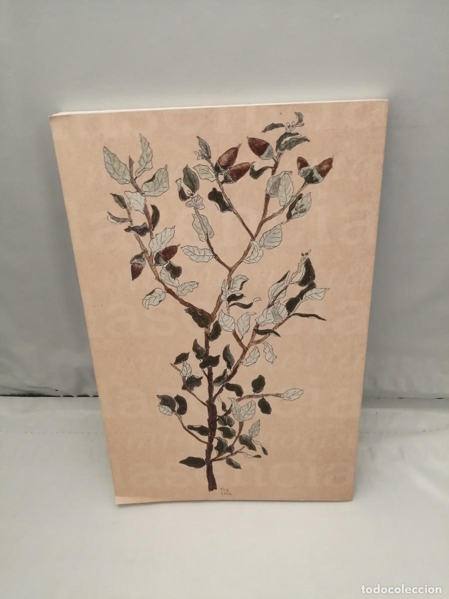Libros de segunda mano: PLASENCIA EN MI MEMORIA - Foto 2