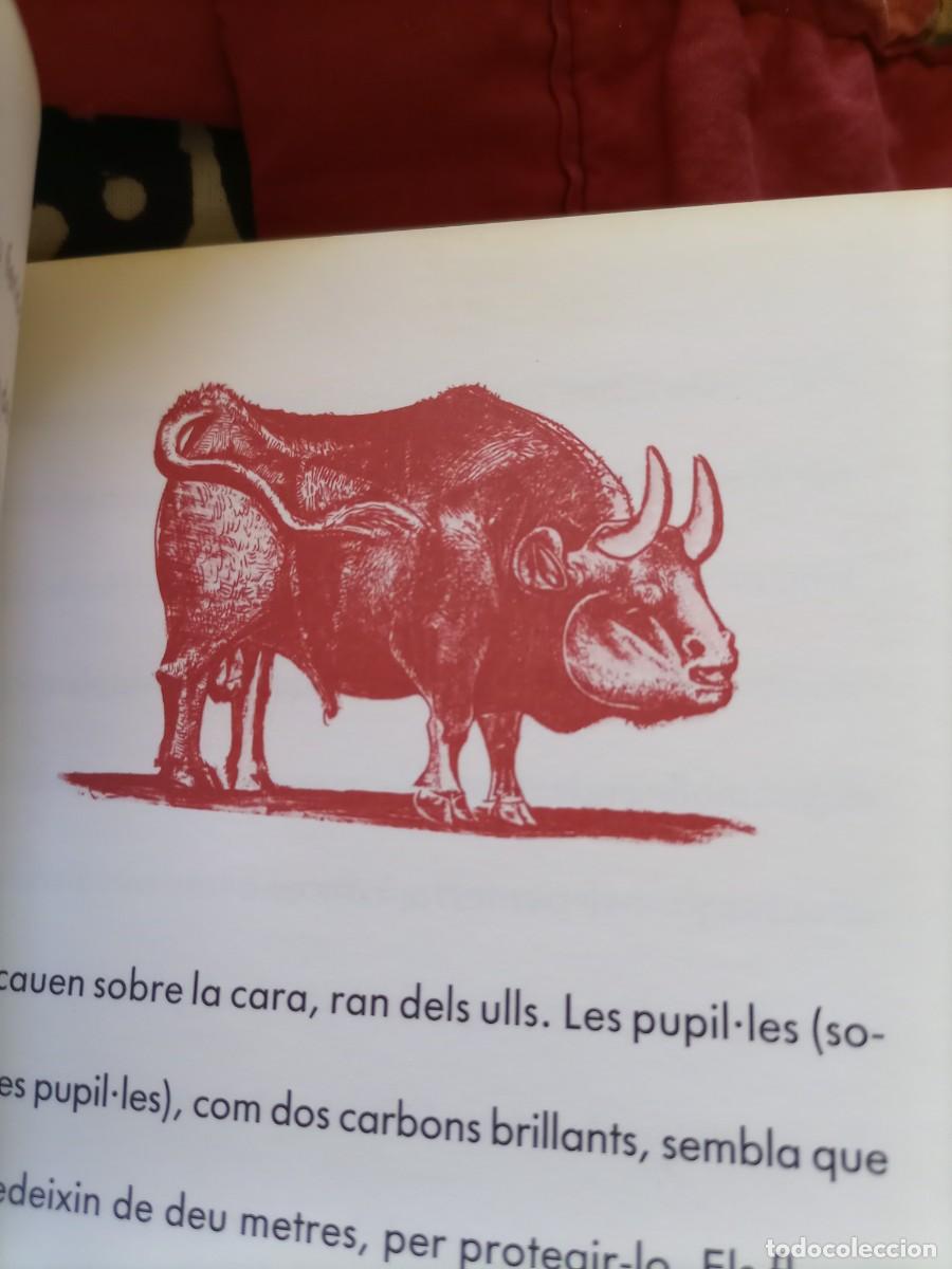 Libros de segunda mano: Vides de Picasso - Foto 17