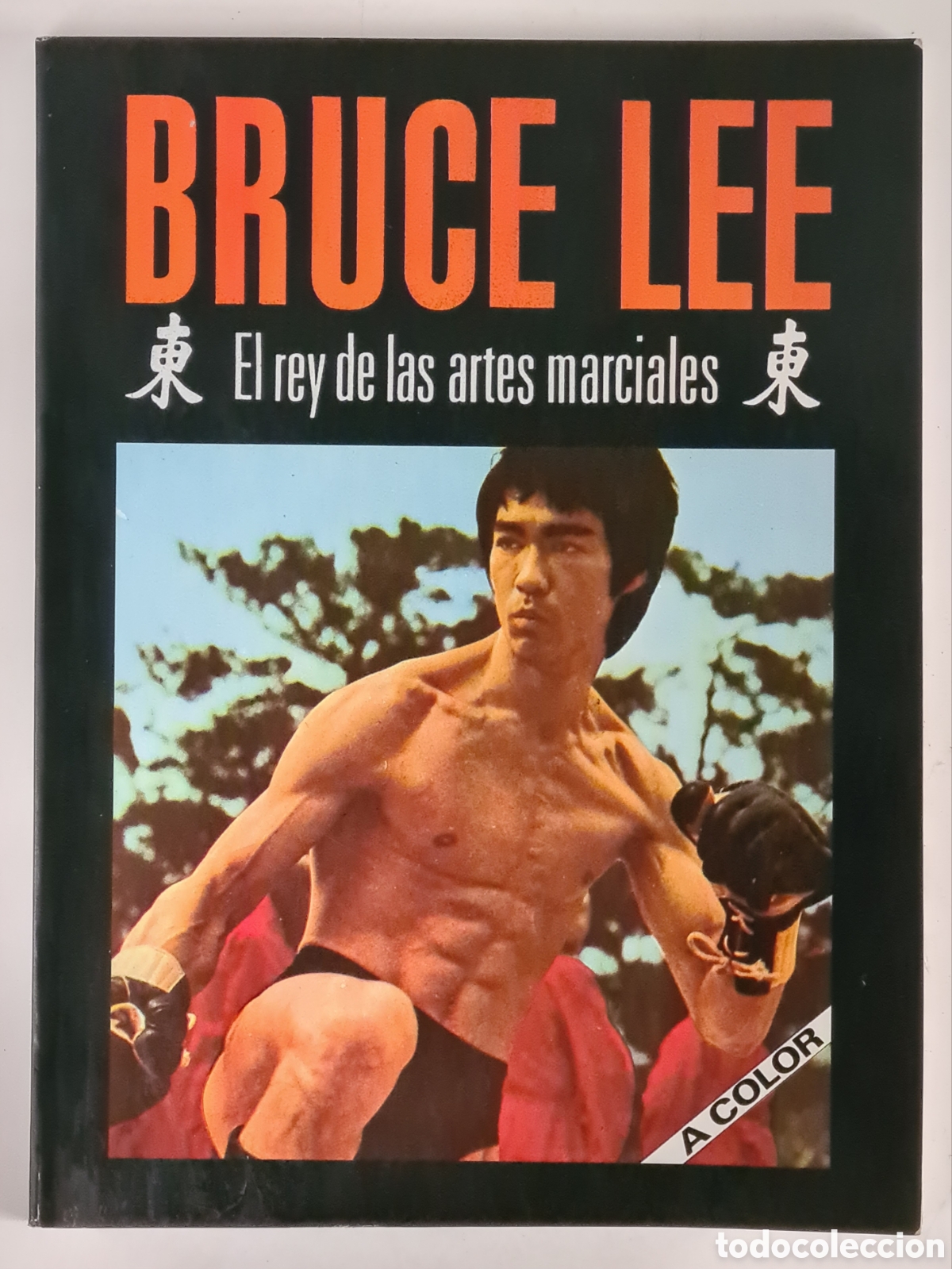 Libros de segunda mano: Bruce Lee El Rey de las Artes Marciales - Kung Fu - Cine