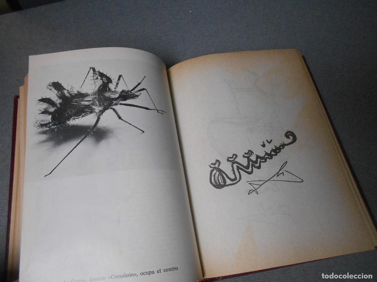 Libros de segunda mano: CONFESIONES INCONFESABLES. DALI - Foto 7