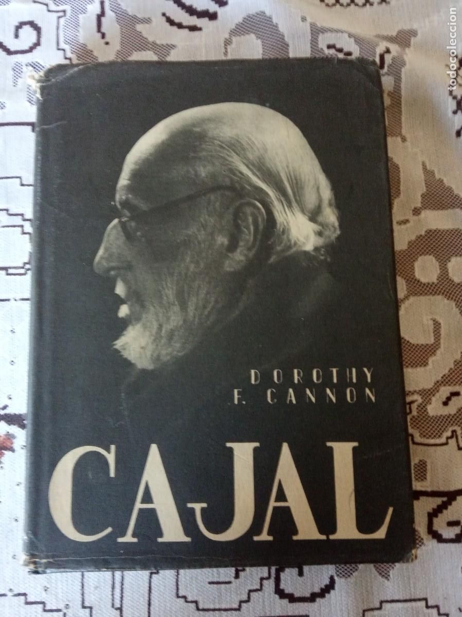 Libros de segunda mano: Ram&oacute;n y Cajal.-Dorothy F. Ca&ntilde;&oacute;n.