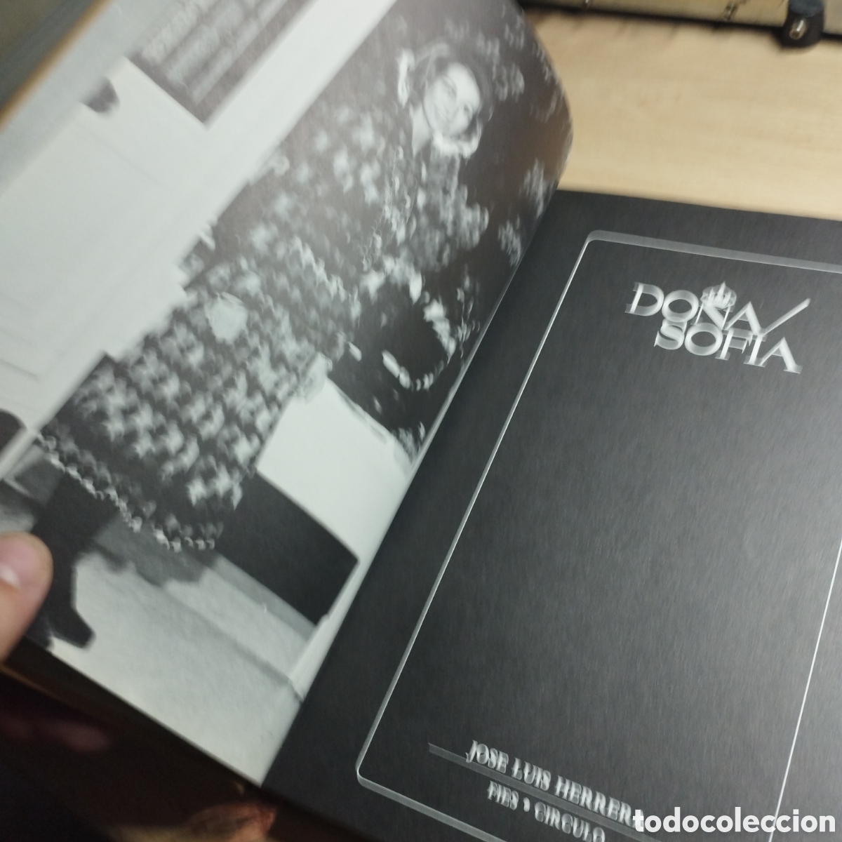 Libros de segunda mano: Do&ntilde;a Sof&iacute;a. Jos&eacute; Luis Herrera. Fies . Circulo.1984. - Foto 4