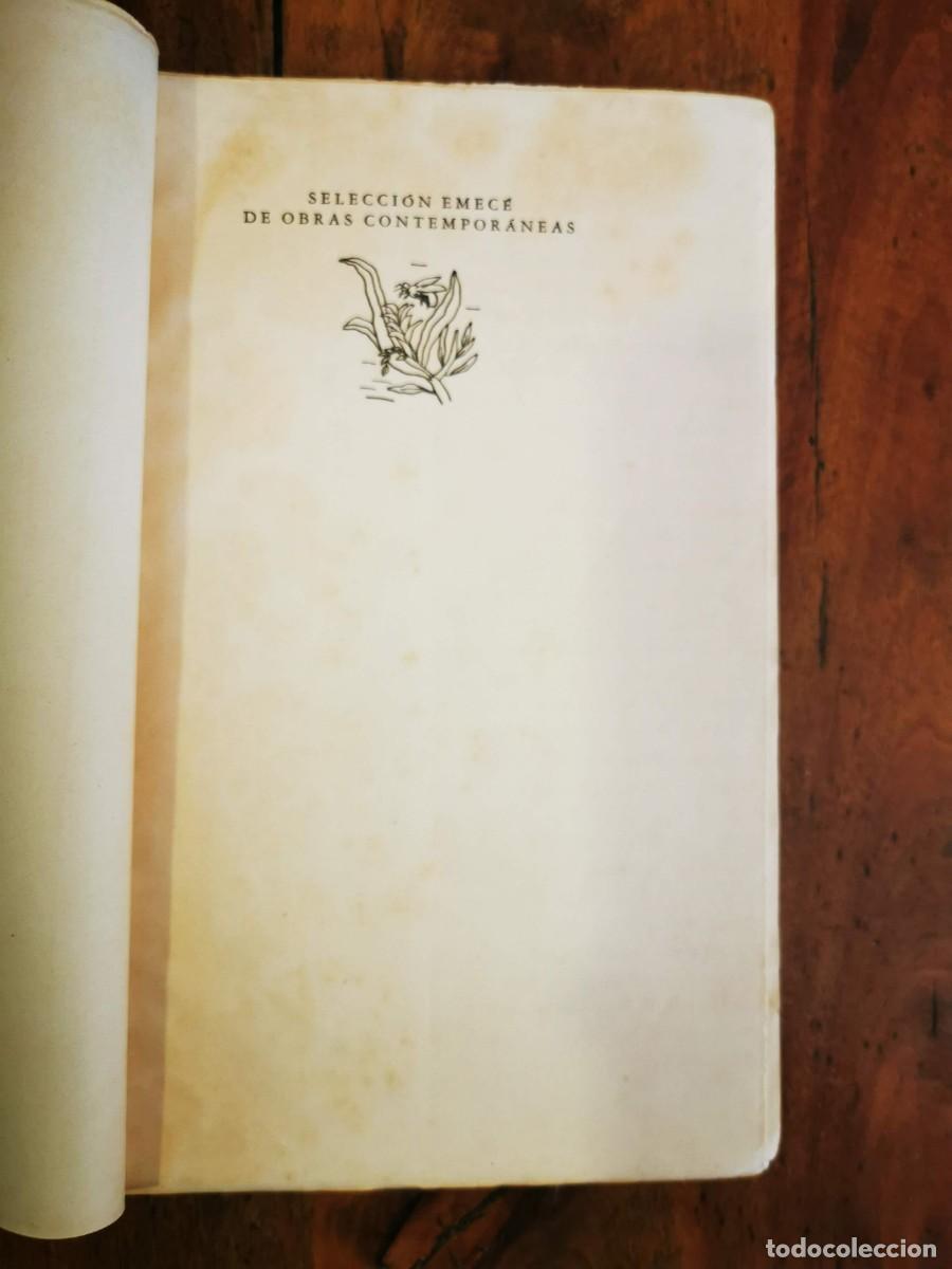 Libros de segunda mano: MAC CONSTAIR, Alfredo. Mar&iacute;a Goretti - Foto 2