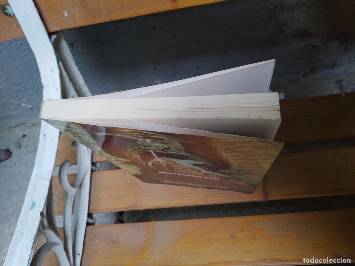 Libros de segunda mano: Albert S&aacute;nchez Pi&ntilde;ol - Payasos y Monstruos - Foto 8