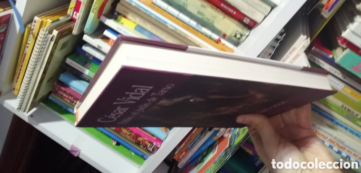 Libros de segunda mano: Pablo el jud&iacute;o de Tarso Cesar Vidal. Algaba Ediciones - Foto 4