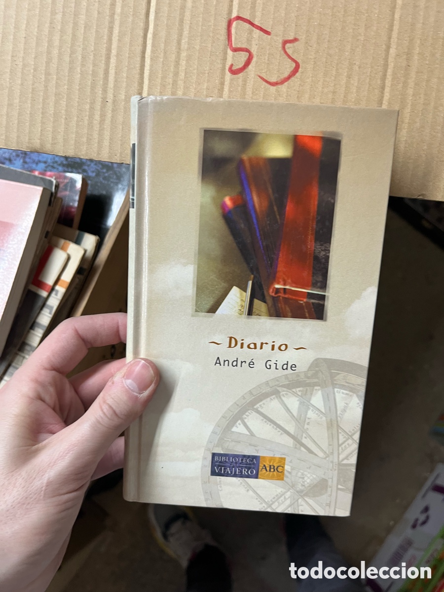 Libros de segunda mano: Caja55 Diario - Andr&eacute; Gide - Foto 1