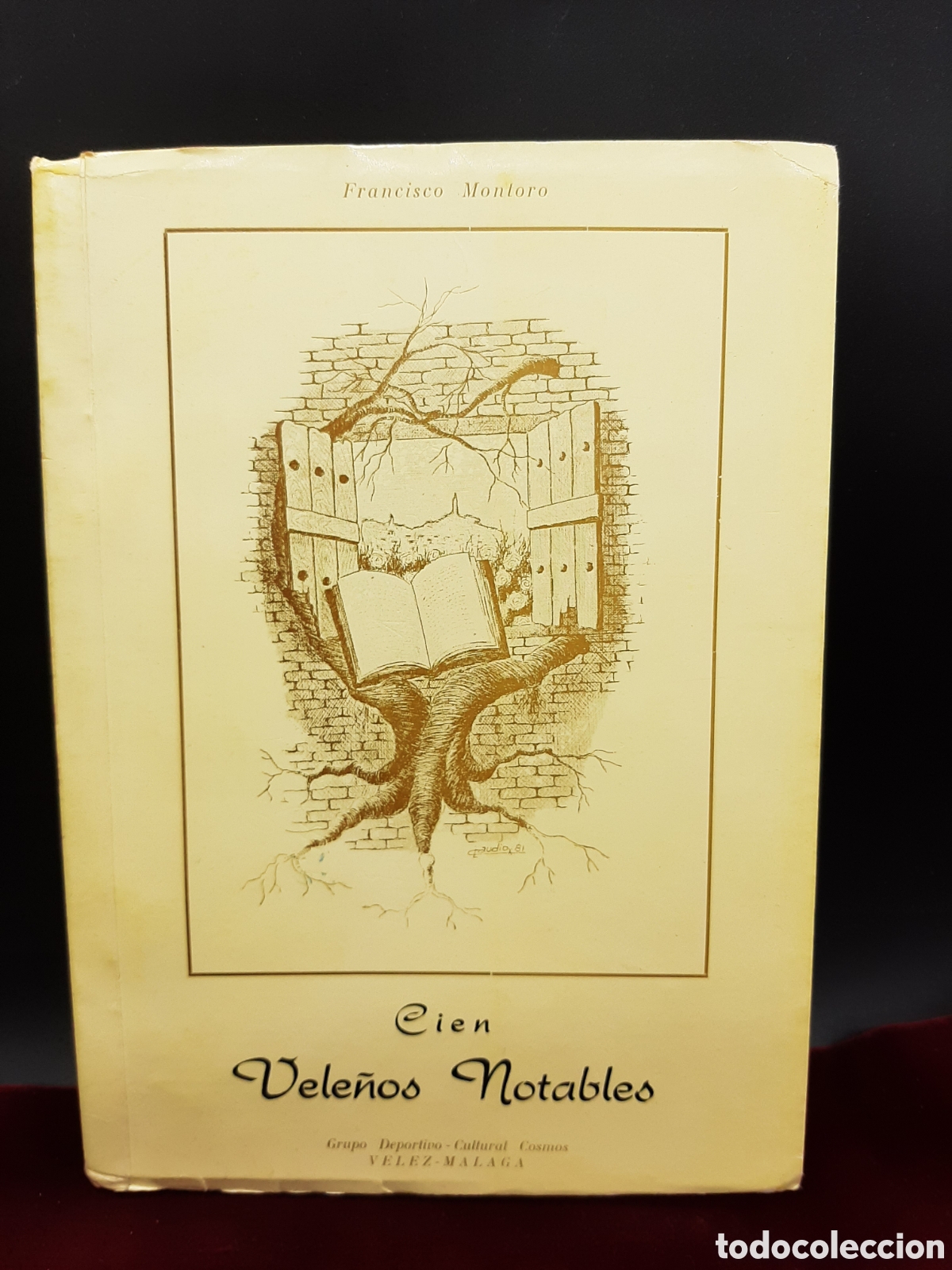 Libros de segunda mano: Cien Vele&ntilde;os Notables. V&eacute;lez-M&aacute;laga 1982. - Foto 1