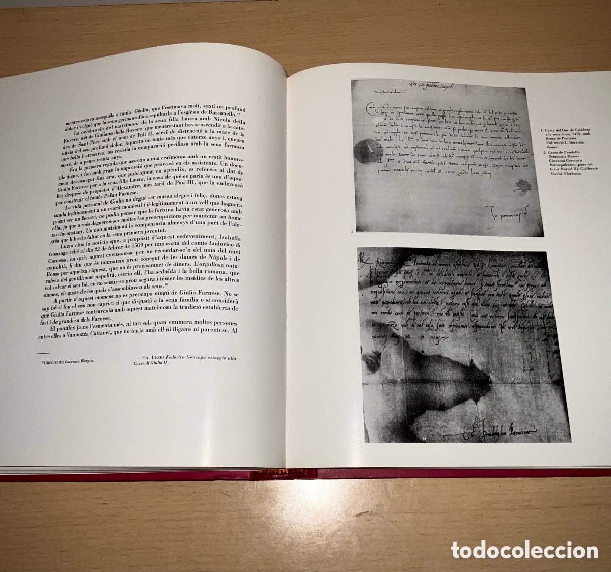 Libros de segunda mano: ELS BORJA - Mario Menotti - Foto 6