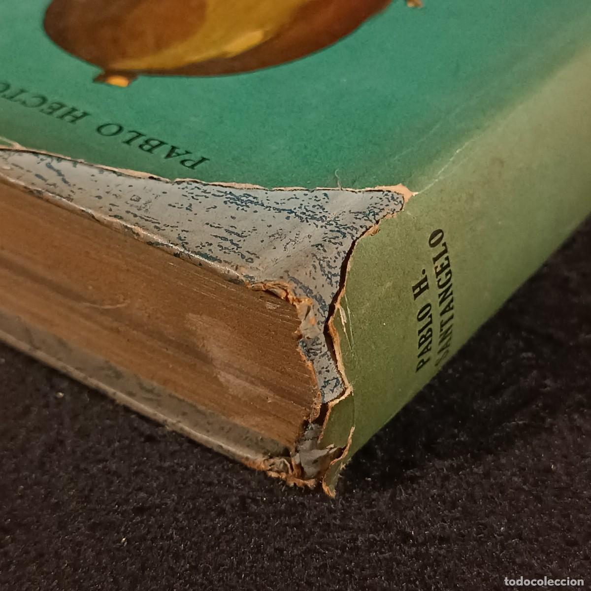 Libros de segunda mano: GREGORIO VII - PABLO HECTOR SANTANGELO - EDICIONES PEUSER / 908 - Foto 7