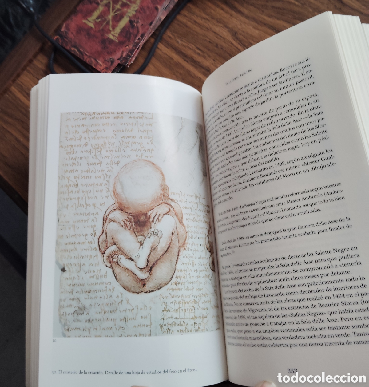 Libros de segunda mano: LEONARDO. El vuelo de la Mente. - Foto 4
