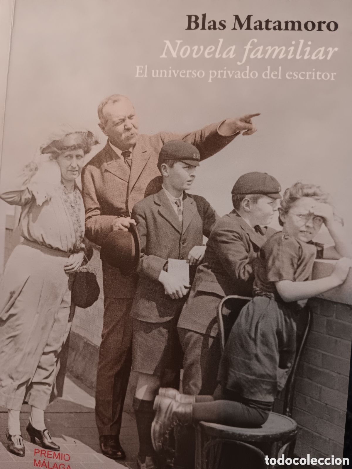 Libros de segunda mano: Blas Matamoro. Novela familiar - Foto 1