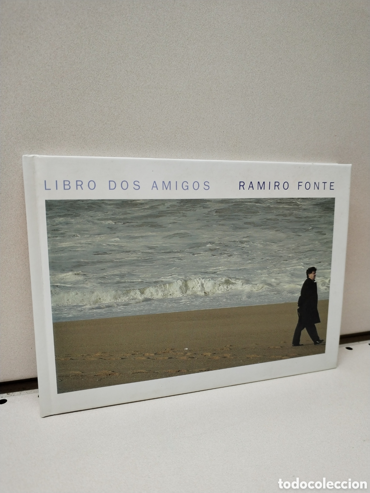 Libros de segunda mano: LIBRO DOS AMIGOS - RAMIRO FONTE - Foto 1