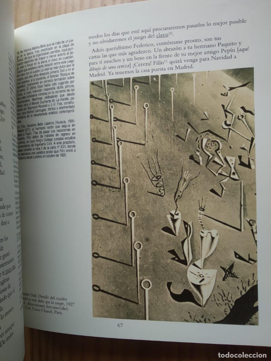 Libros de segunda mano: DALI RESIDENTE - RAFAEL SANTOS TORROELLA - Foto 5