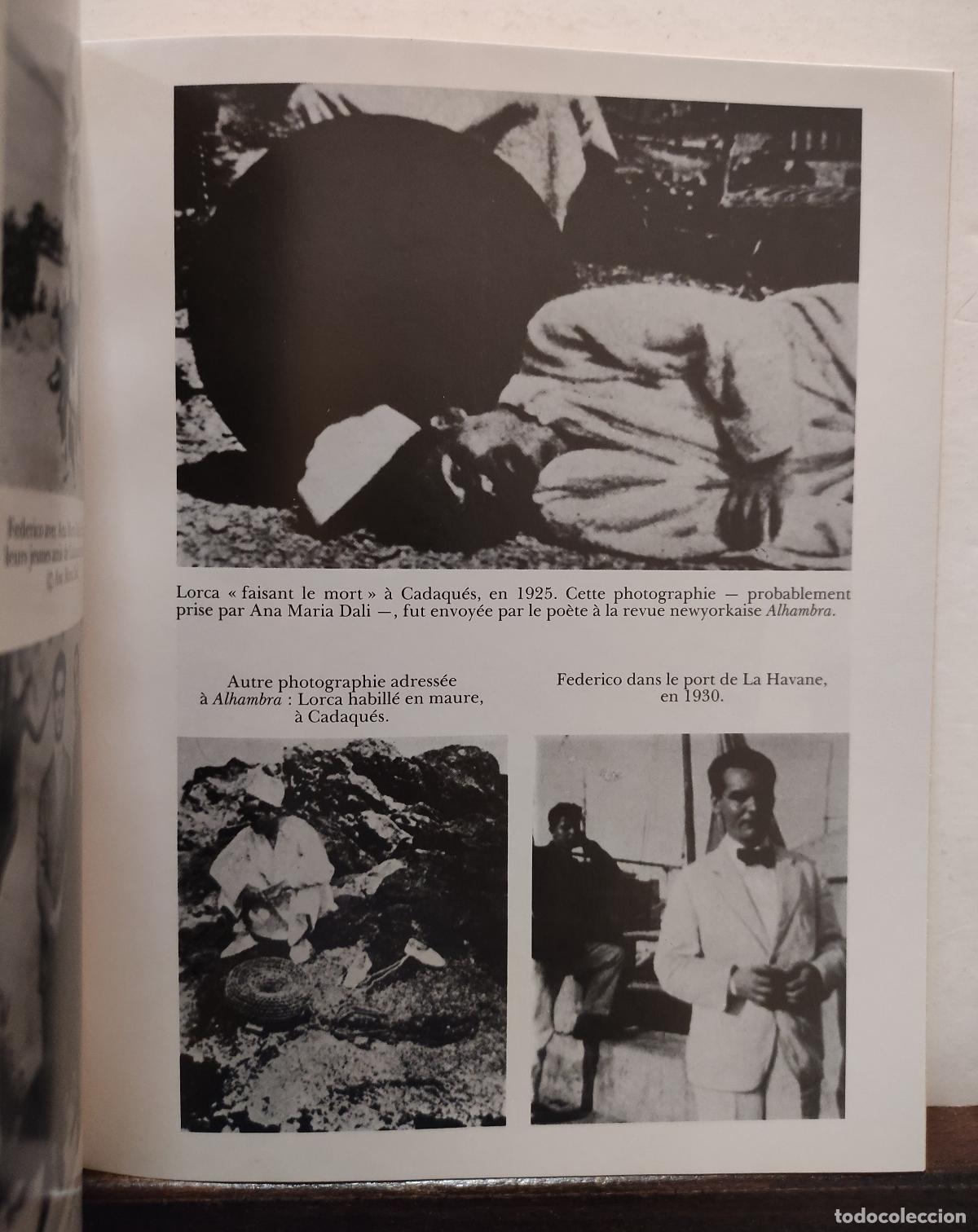 Libros de segunda mano: FEDERICO GARCIA LORCA - IAN GIBSON - Foto 7