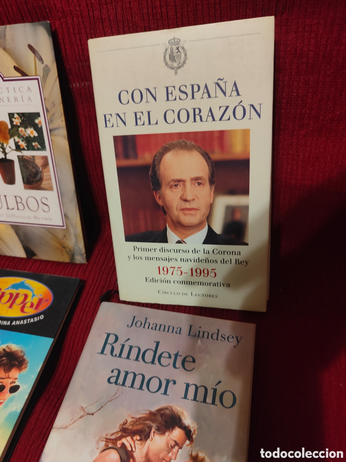 Libros de segunda mano: GRAN LOTE DE LIBROS VARIADOS - Foto 3