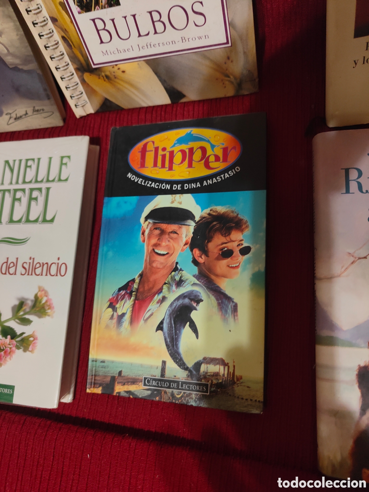 Libros de segunda mano: GRAN LOTE DE LIBROS VARIADOS - Foto 4