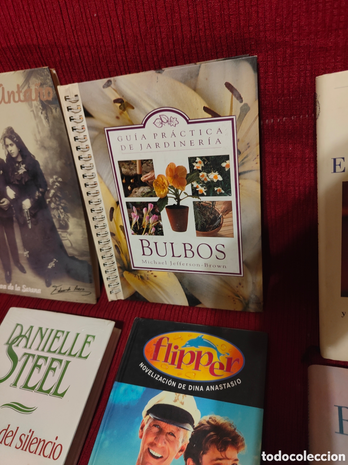 Libros de segunda mano: GRAN LOTE DE LIBROS VARIADOS - Foto 5