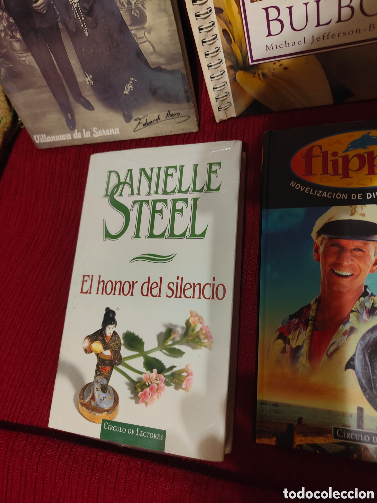 Libros de segunda mano: GRAN LOTE DE LIBROS VARIADOS - Foto 6