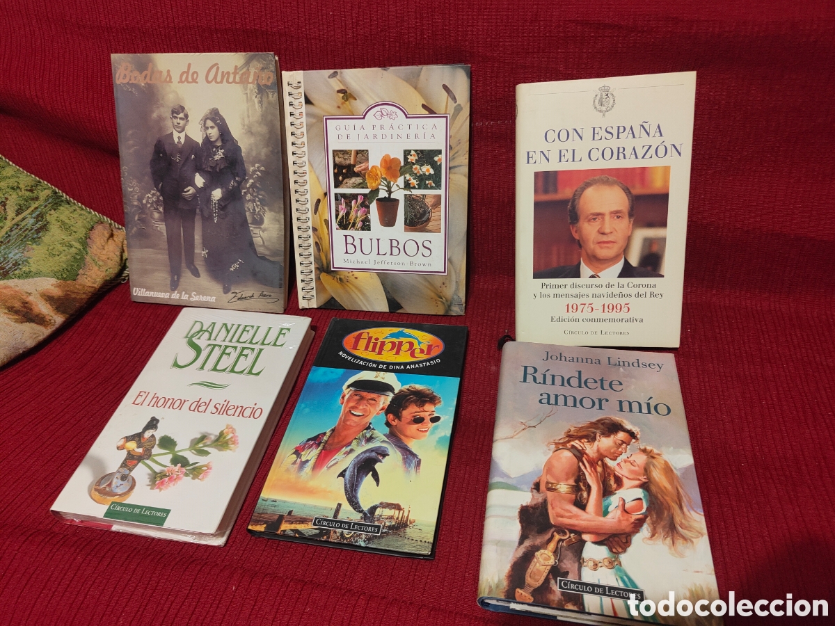 Libros de segunda mano: GRAN LOTE DE LIBROS VARIADOS - Foto 1