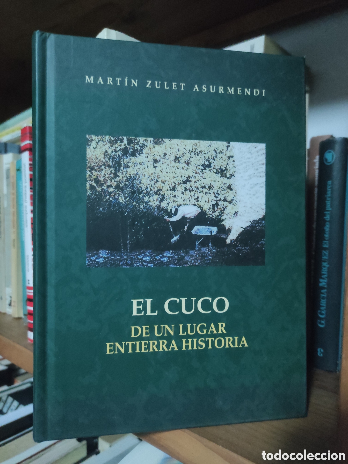 Libros de segunda mano: EL CUCO DE UN LUGAR ENTIERRA HISTORIA - ZULET ASURMENDI, Martin