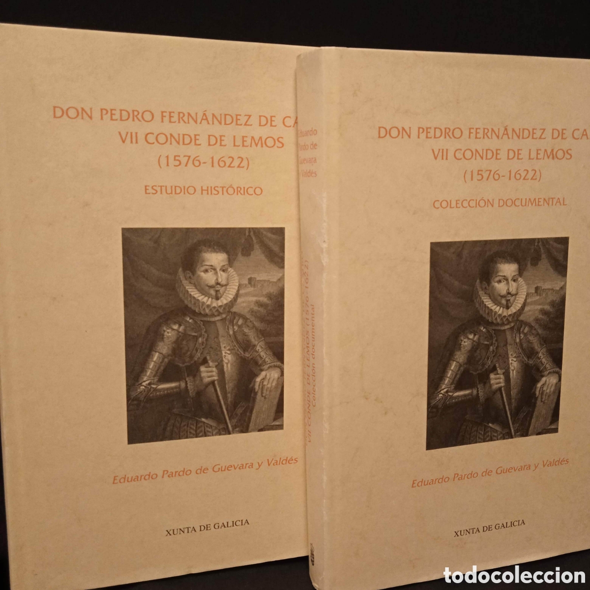 Gebrauchte B&uuml;cher: DON PEDRO FERN&Aacute;NDEZ DE CASTRO VII CONDE DE LEMOS (2VOLS) - EDUARDO PARDO DE GUEVARA Y VALD&Eacute;S #A