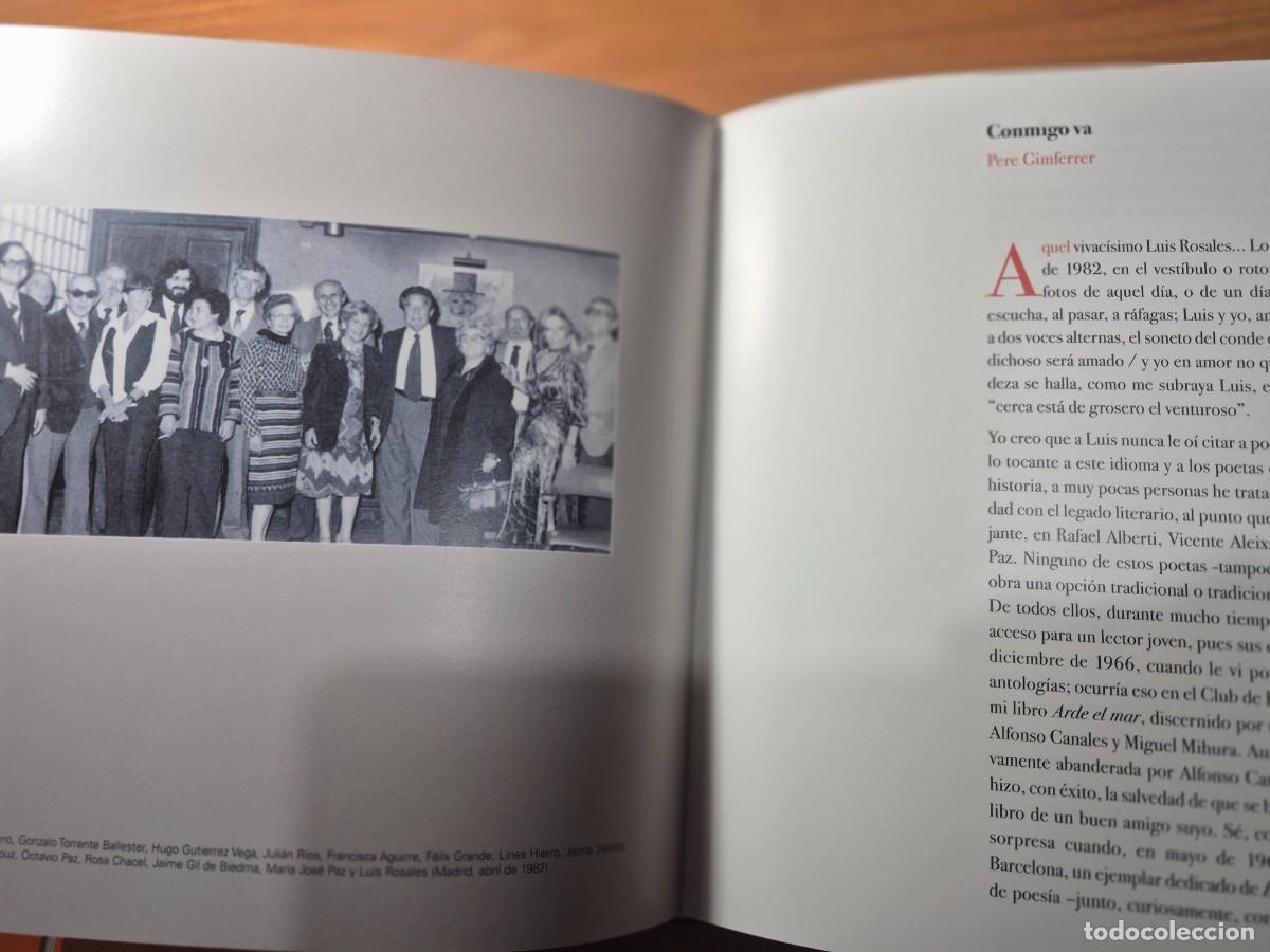 Libros de segunda mano: Luis Rosales. Disc&iacute;pulo del aire - Foto 4