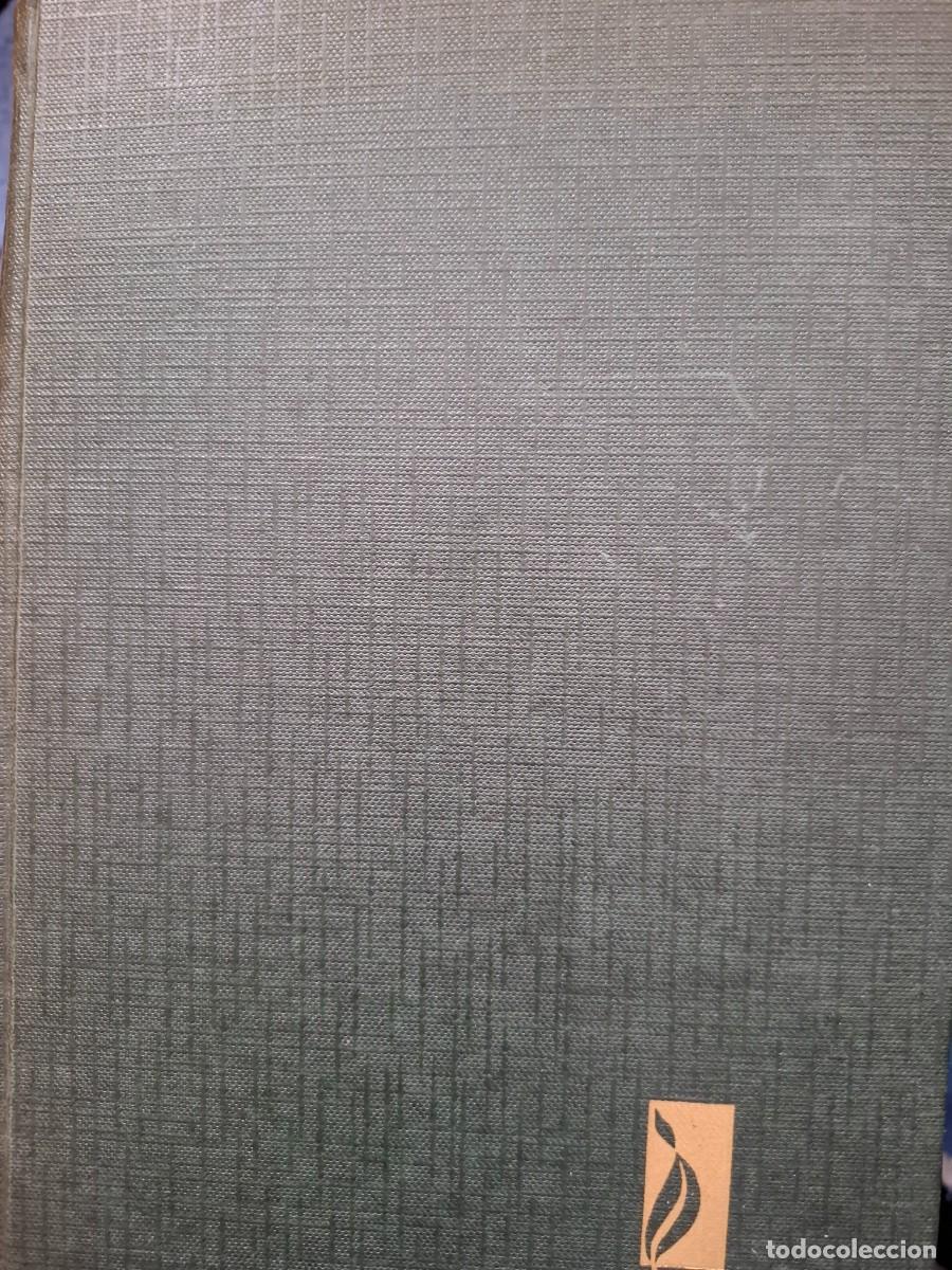 Libros de segunda mano: Josef Stalin Robert Payne - Foto 1