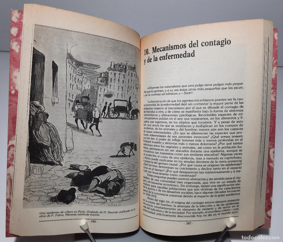 Libros de segunda mano: Pasteur (II) - J. Dubos, Rene - Foto 2