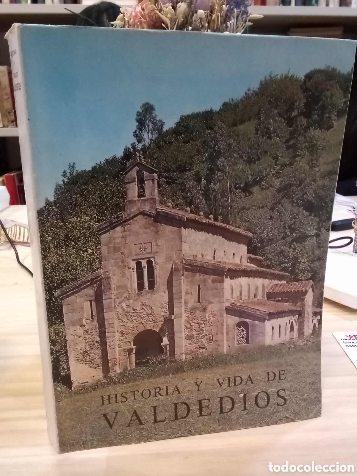 Libros de segunda mano: Historia y vida de Valdedios -Hernanda de Valdedios (Ed.)
