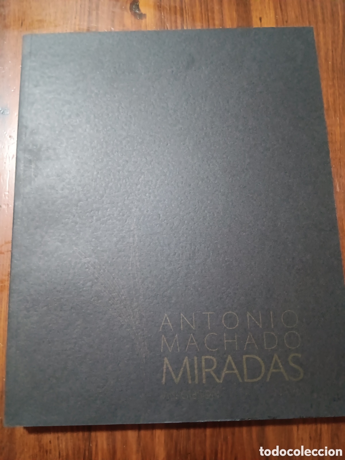 Libros de segunda mano: ANTONIO MACHADO: MIRADAS - IAN GIBSON