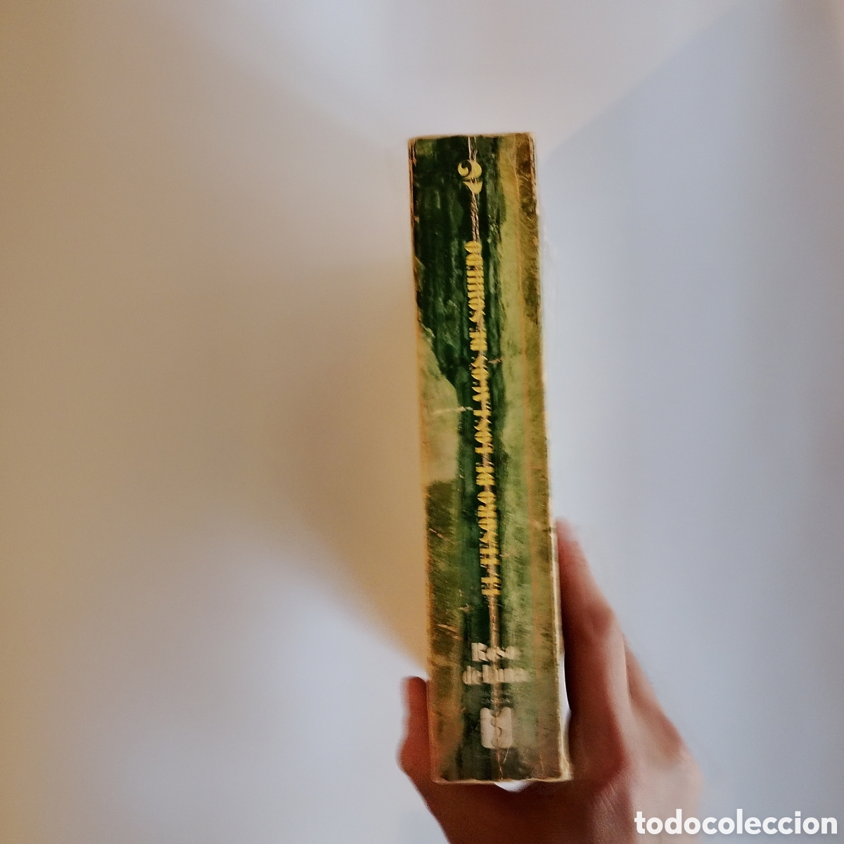 Libros de segunda mano: Roso de Luna. El tesoro de los lagos de Somiedo. Silverio Ca&ntilde;ada Editor.