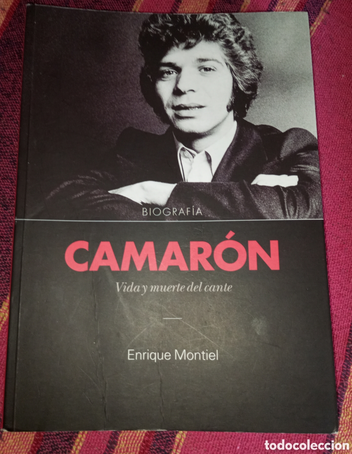 Libros de segunda mano: Camar&oacute;n vida y muerte del cante Enrique Montiel 2014