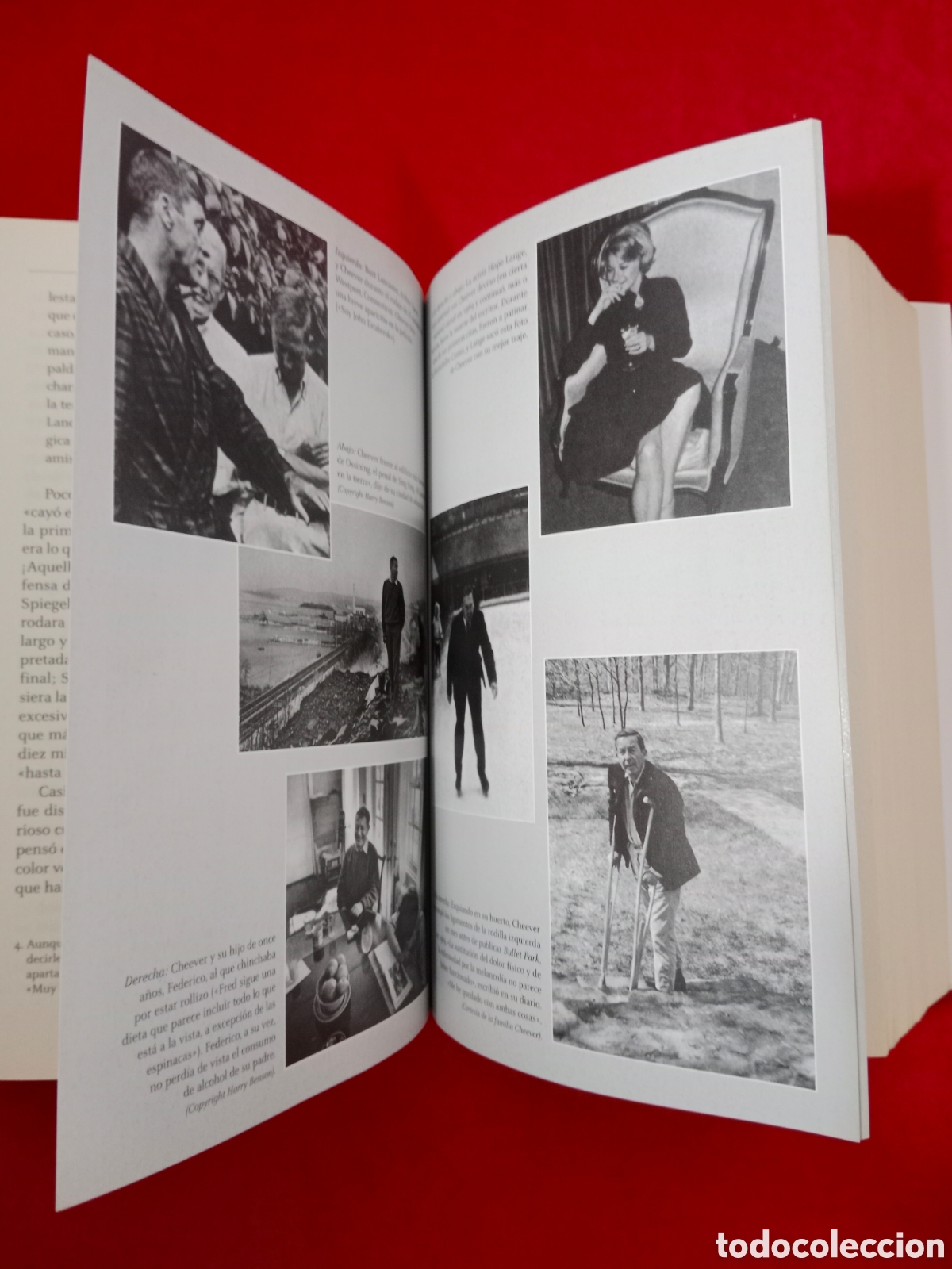 Libros de segunda mano: CHEEVER: UNA VIDA, BLAKE BAILEY,. PRIMERA EDICI&Oacute;N - Foto 4