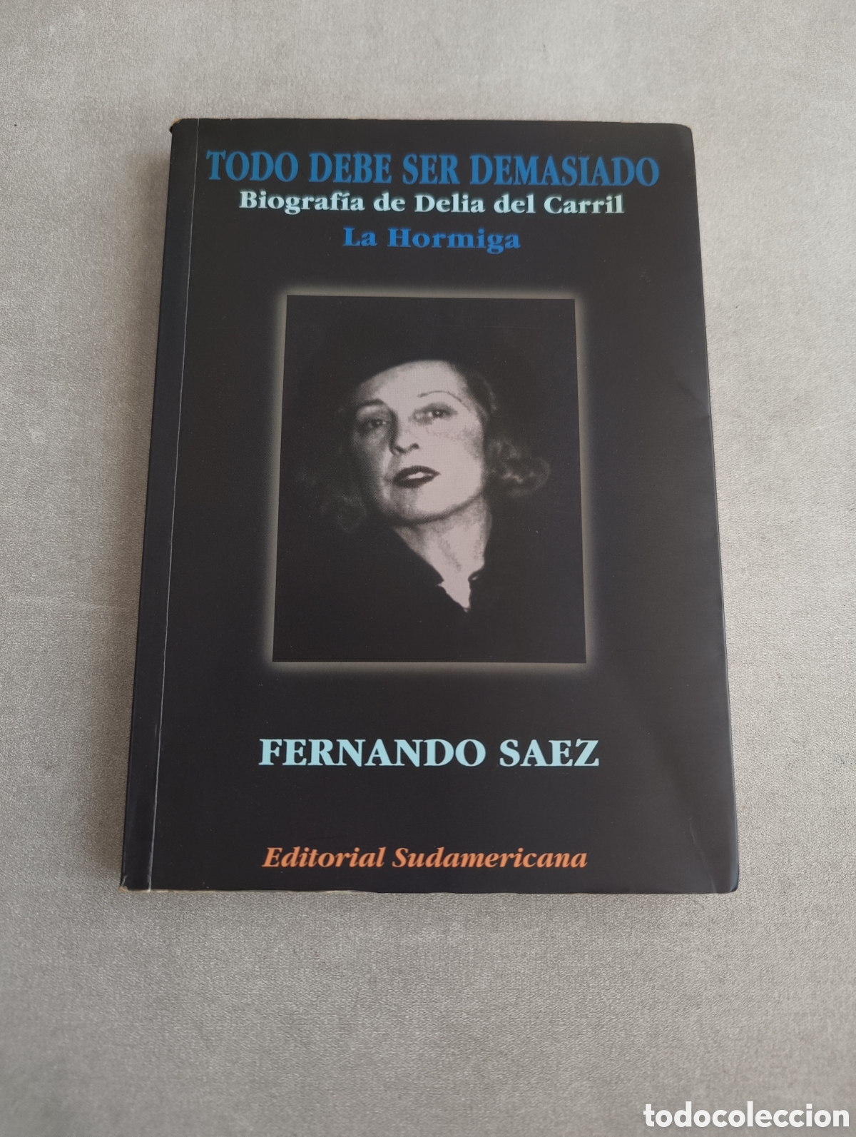 Libros de segunda mano: Todo debe ser demasiado. Biograf&iacute;a de Delia del Carril. La hormiga. Fernando S&aacute;ez.
