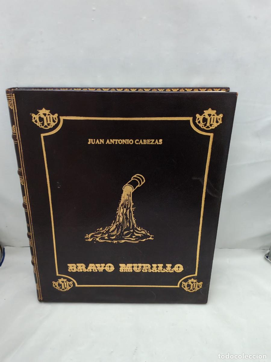 Livres d'occasion: Bravo Murillo: Un pol&iacute;tico isabelino con visi&oacute;n del futuro (Edici&oacute;n de lujo encuadernada plena piel)