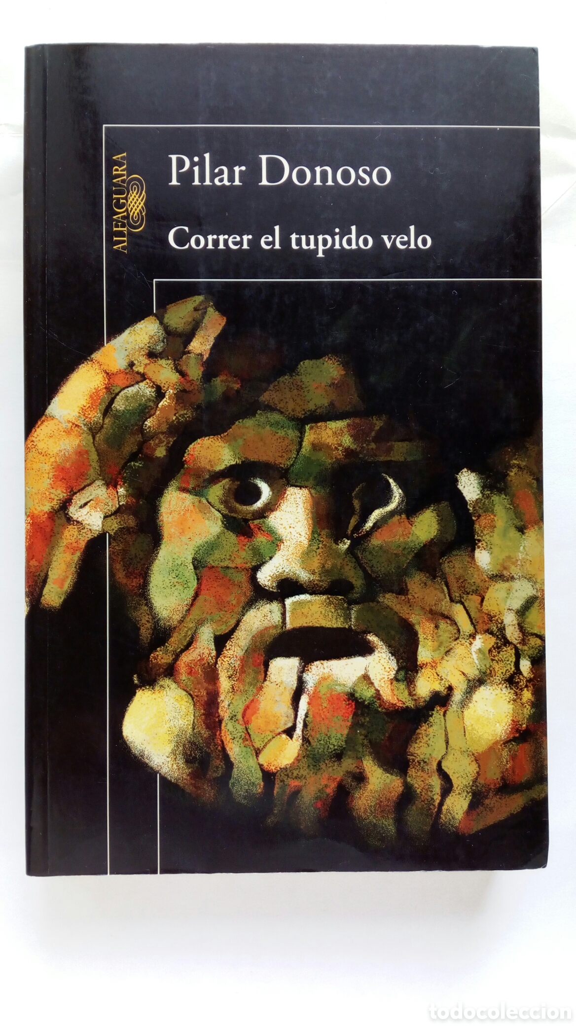 Libros de segunda mano: Correr el tupido velo. Pilar Donoso.
