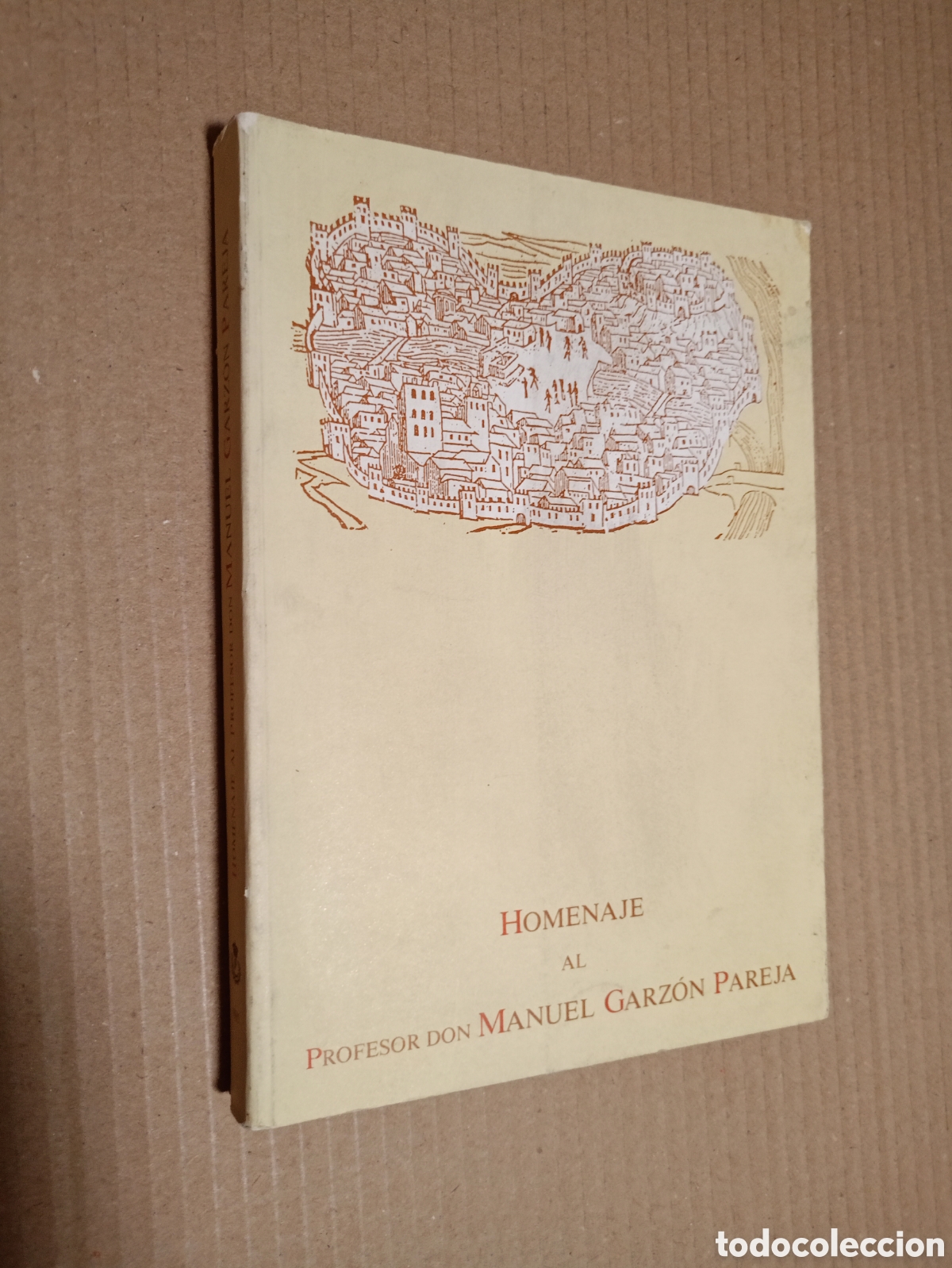 Libros de segunda mano: Homenaje al Profesor Don Manuel Garz&oacute;n
