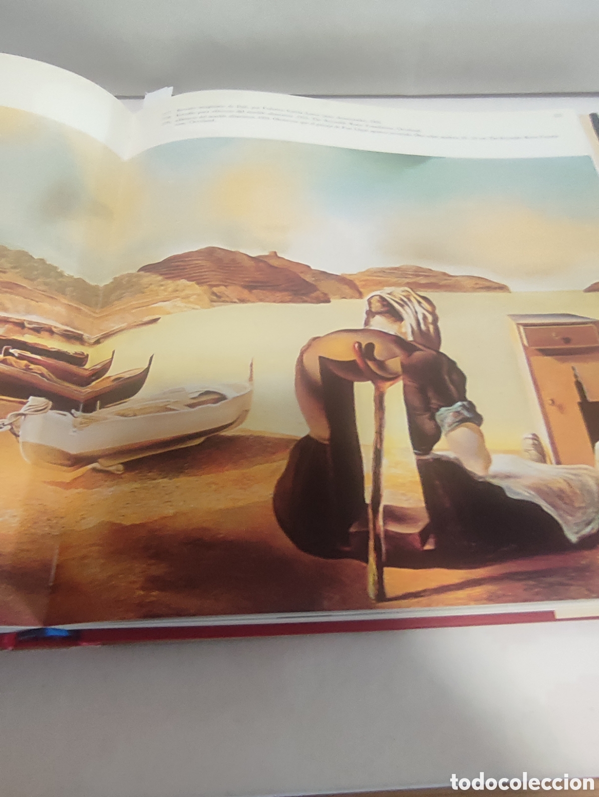 Libros de segunda mano: LIBRO. TODO DALI EN UN ROSTRO - Foto 11