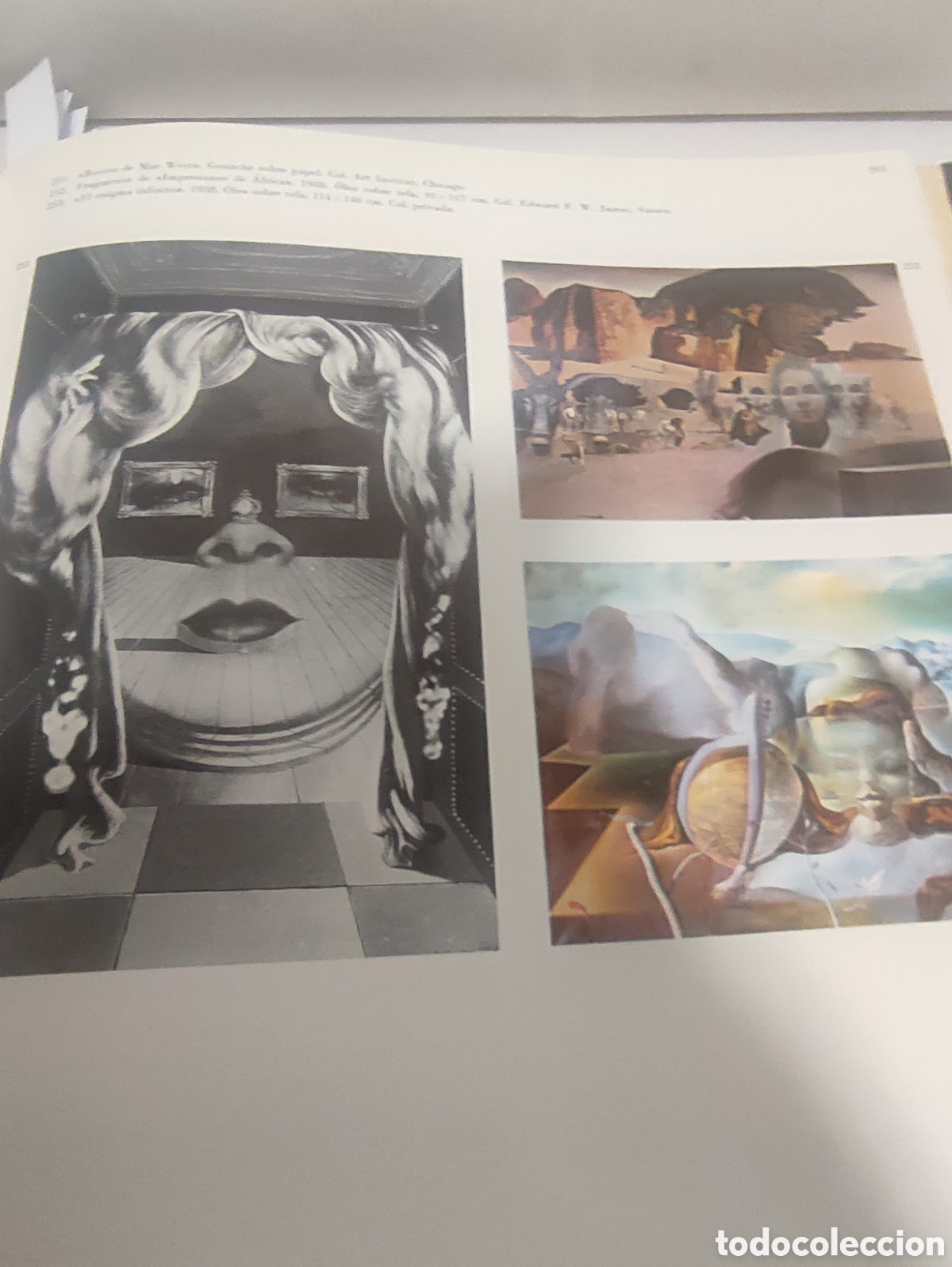 Libros de segunda mano: LIBRO. TODO DALI EN UN ROSTRO - Foto 13