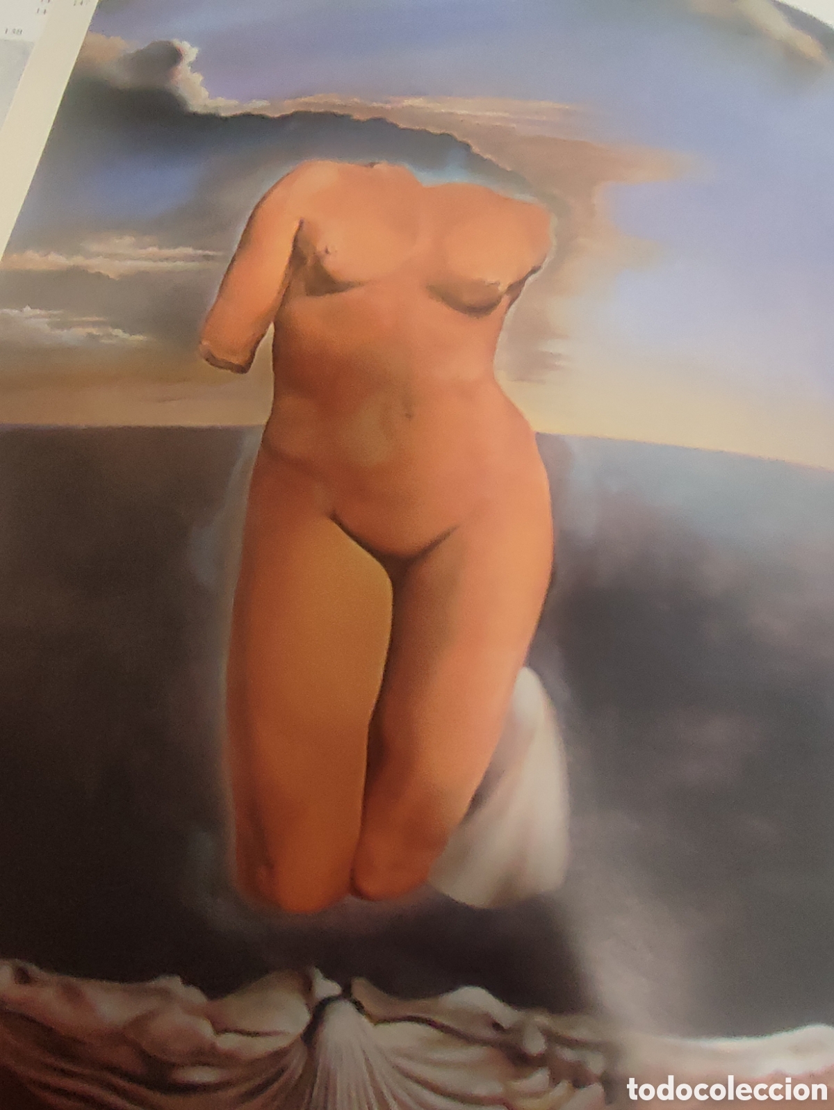 Libros de segunda mano: LIBRO. TODO DALI EN UN ROSTRO - Foto 18
