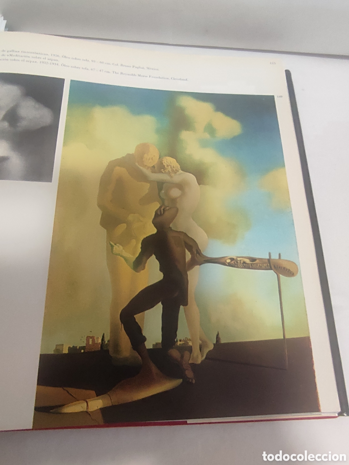 Libros de segunda mano: LIBRO. TODO DALI EN UN ROSTRO - Foto 19