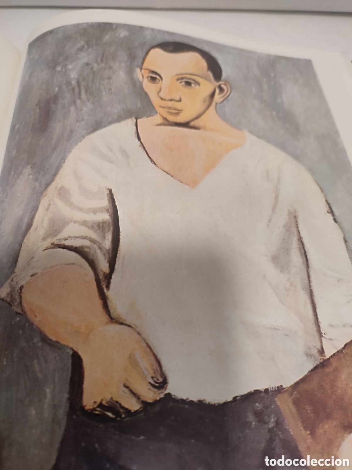 Libros de segunda mano: LIBRO PICASSO SU OBRA Y ETAPAS - Foto 9