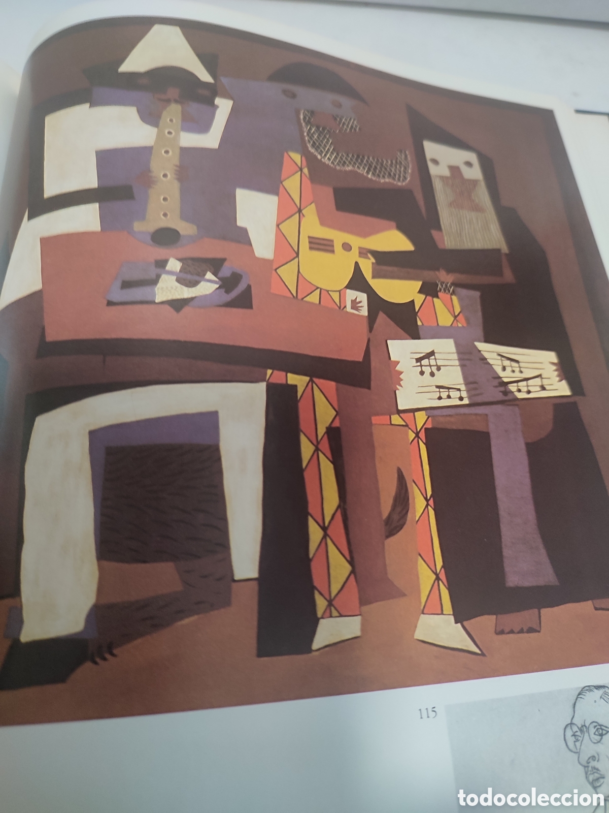 Libros de segunda mano: LIBRO PICASSO SU OBRA Y ETAPAS - Foto 13