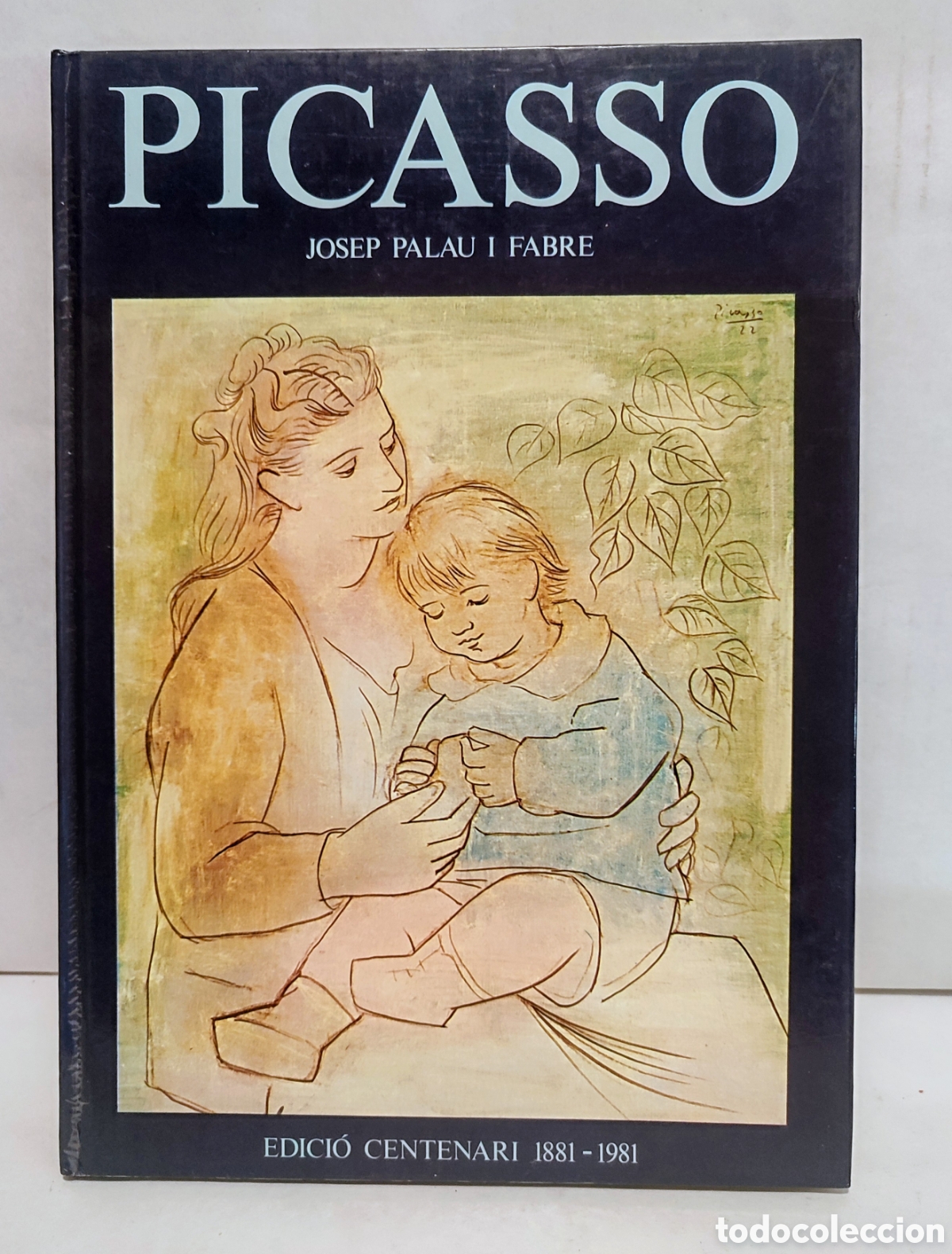 Libros de segunda mano: LIBRO PICASSO SU OBRA Y ETAPAS - Foto 1