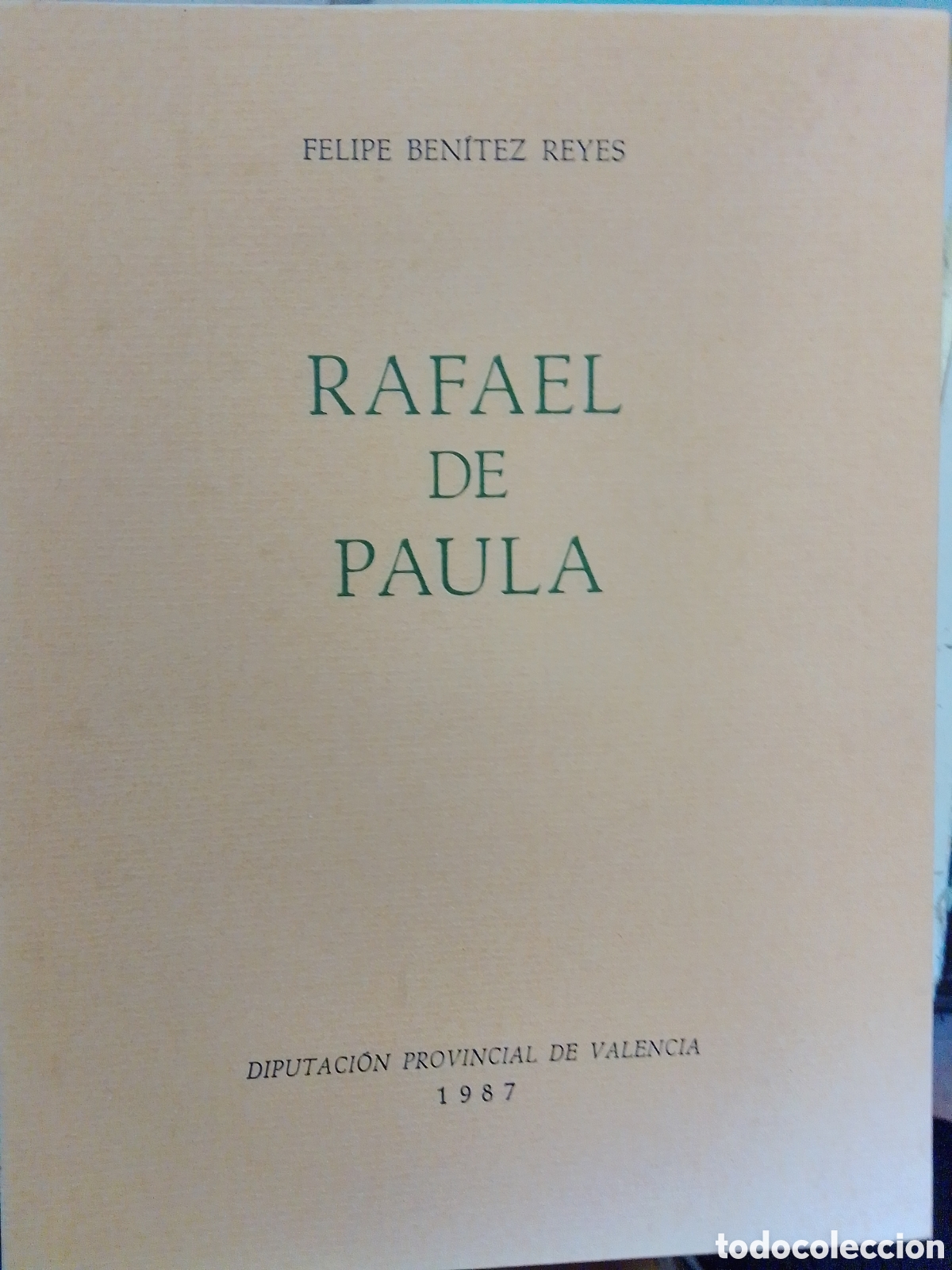 Libros de segunda mano: RAFAEL DE PAULA. BENITEZ REYES, FELIPE. DIPUTACION PROVINCIAL DE VALENCIA. 1987